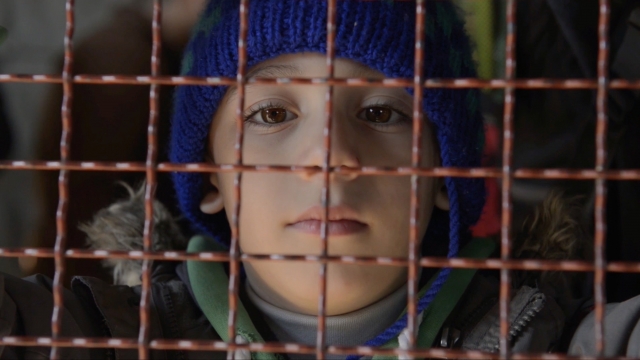 A displaced child looks through a fence.
