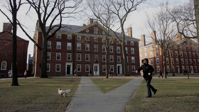 Harvard University students walk through the campus.