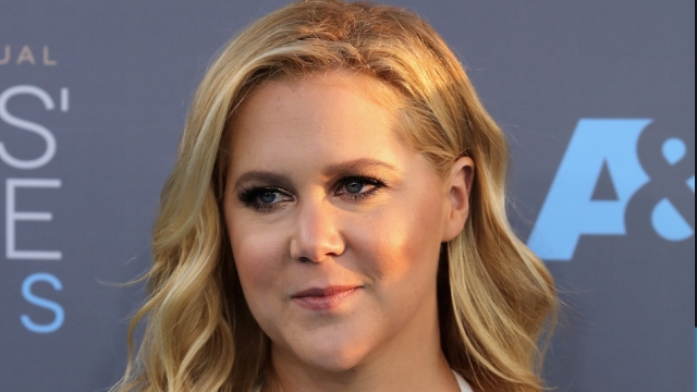 Amy Schumer poses on a red carpet. She wears a halter dress and has wavy hair. She looks off to her right.