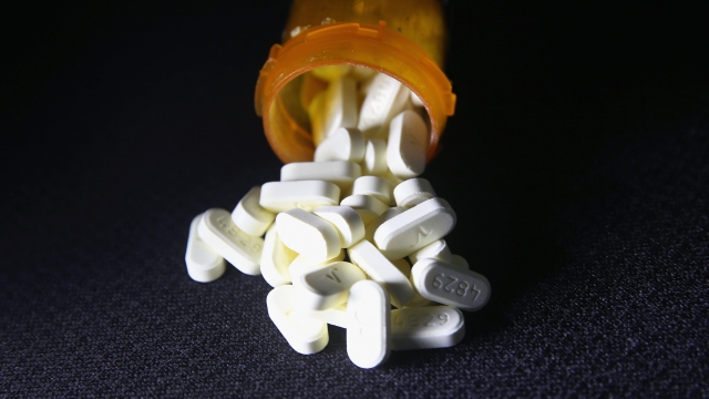 A bottle of Oxycodone pills.