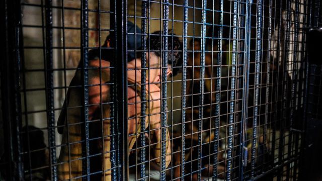 Drug suspects are led into a crowded jail cell in the Philippines.