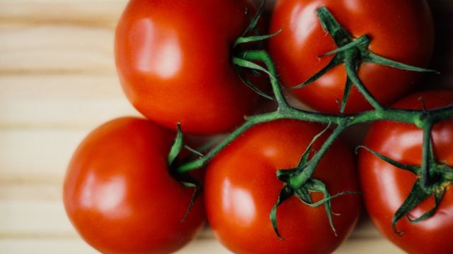 Photo of tomatoes on a vine.