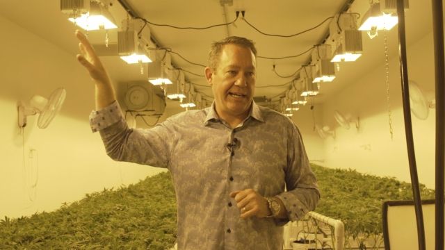 Tim Cullen Shows Off His Cannabis Facility