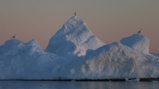Iceberg sits in water