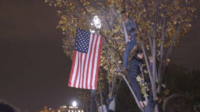 People in a tree hold an American flag