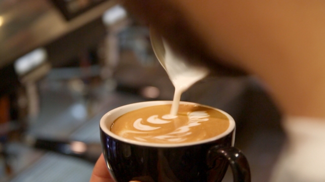 A latte art competition in Columbia, Missouri
