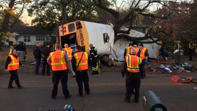 A school bus wrapped around a tree