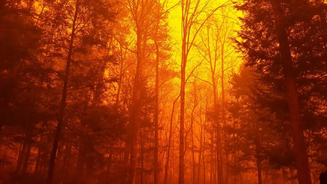 A massive wildfire in Gatlinburg, Tennessee