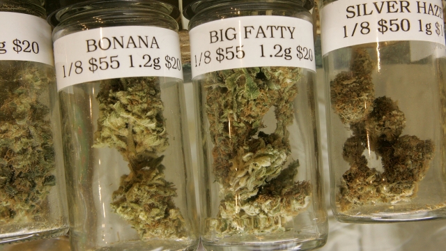 Containers of medicinal marijuana are seen on display.