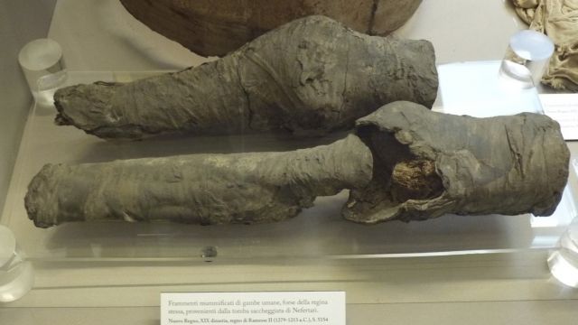 Photo of a pair of mummified leg bones found inside Queen Nefertari's royal tomb in Egypt.