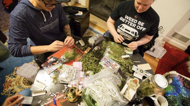 Marijuana activists in D.C. roll joints in preparation for Donald Trump's inauguration.