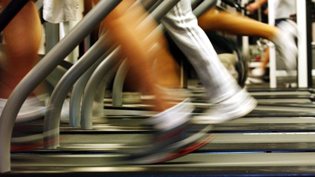 People run on treadmills at a New York Sports Club.
