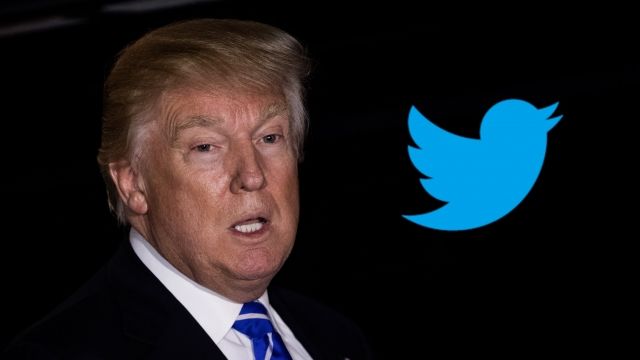 Donald Trump and the Twitter logo