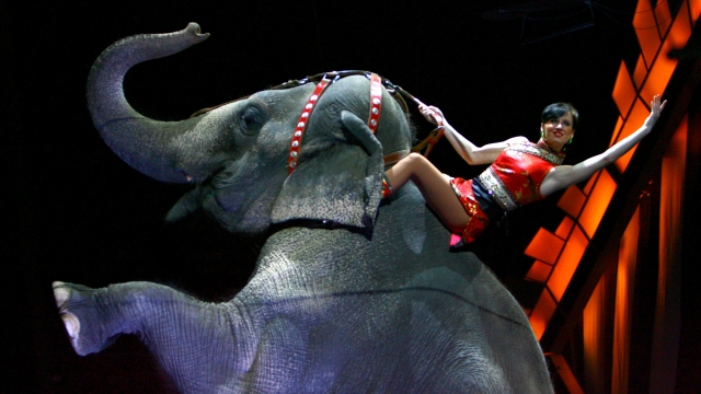 A performer riding an elephant.