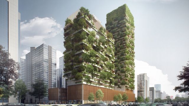 "Vertical forest" prototypes