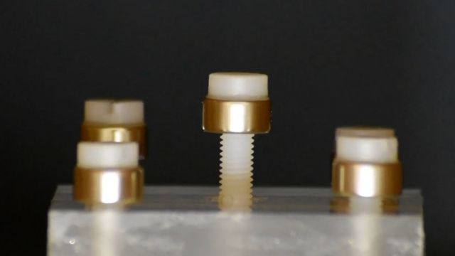 magnetically controlled screws