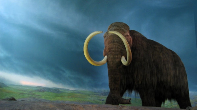 Extinct wooly mammoth is depicted standing on a plane