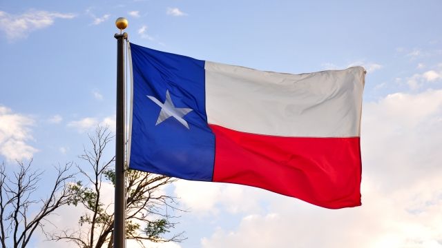The Texas flag