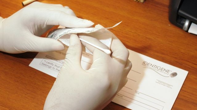 a cotton swab used for DNA testing