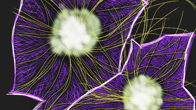 An illustration of neural cells