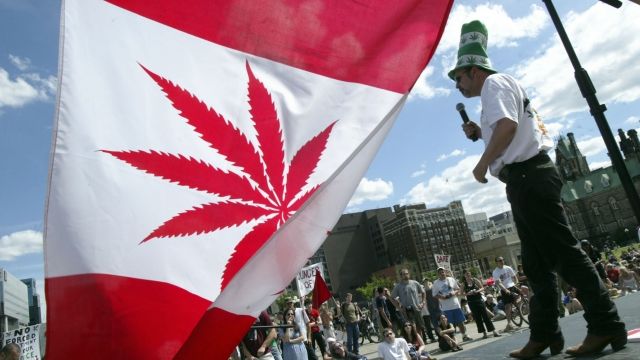 A marijuana-themed Canadian flag is shown at a rally.