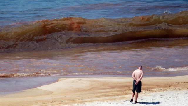 Oil from the Deepwater Horizon spill washes ashore in Alabama
