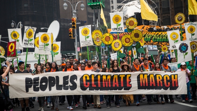 Demonstrators participate in the 2014 People's Climate March.