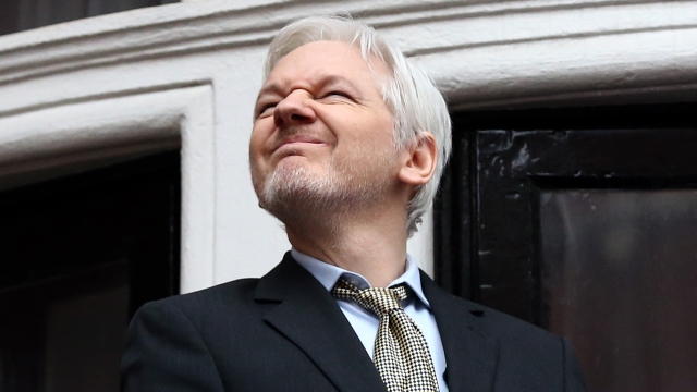 WikiLeaks founder Julian Assange squinting