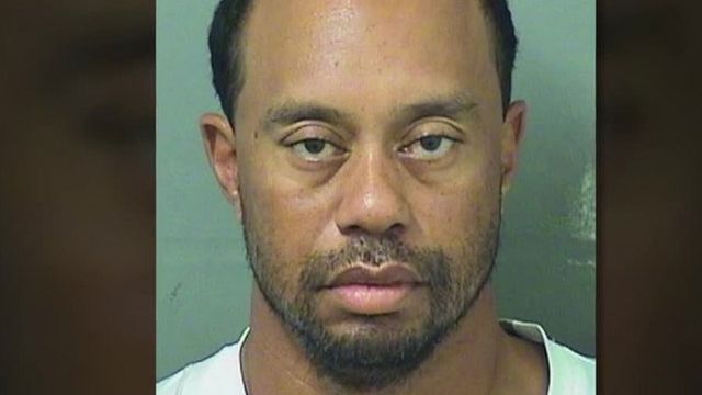 Tiger Woods' mugshot.