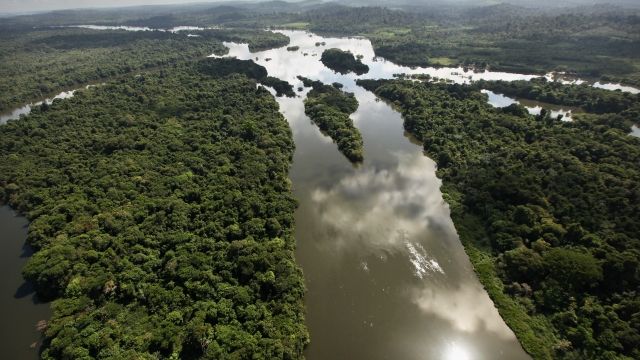 A tributary of the Amazon River in Brazil