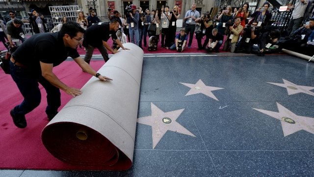 Workers roll out red carpet over Walk of Fame.