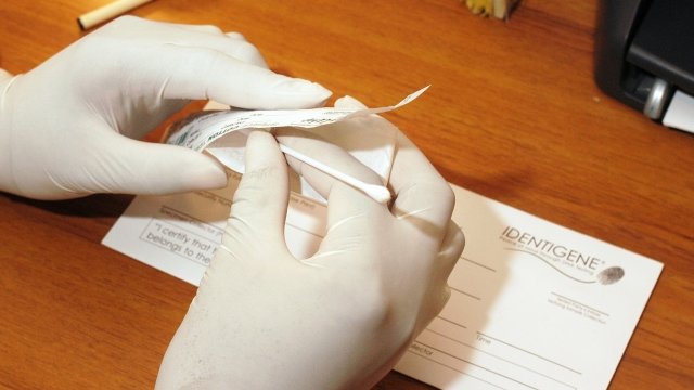A cotton swab used for DNA testing is placed into an envelope