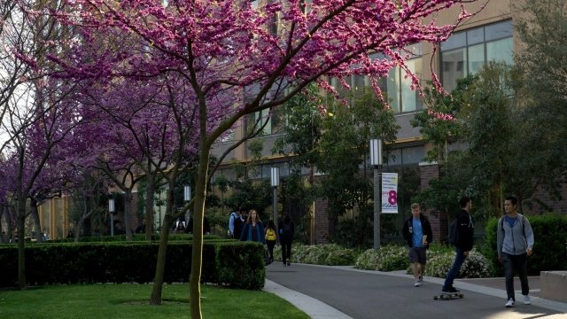 UC Irvine in the springtime