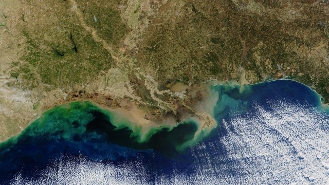 "Dead zone" in Gulf of Mexico