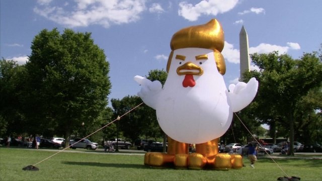 An inflatable chicken used in protest near the White House.