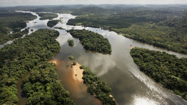 A river flows through the Amazon rain forest.