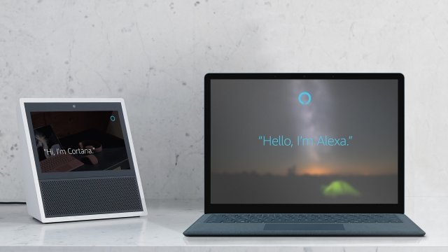 Cortana and Alexa digital assistants.