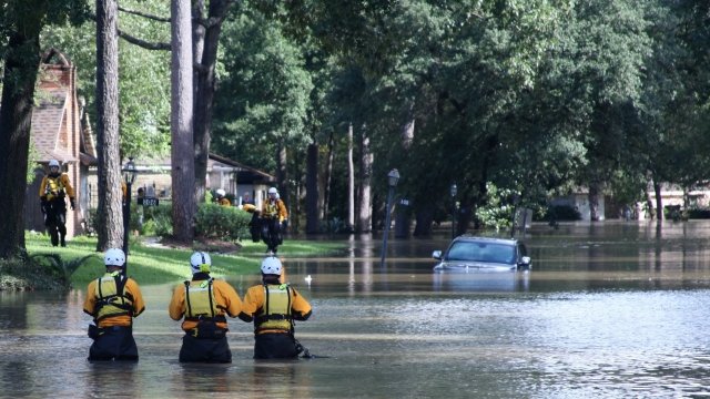 Search and rescue teams in Houston