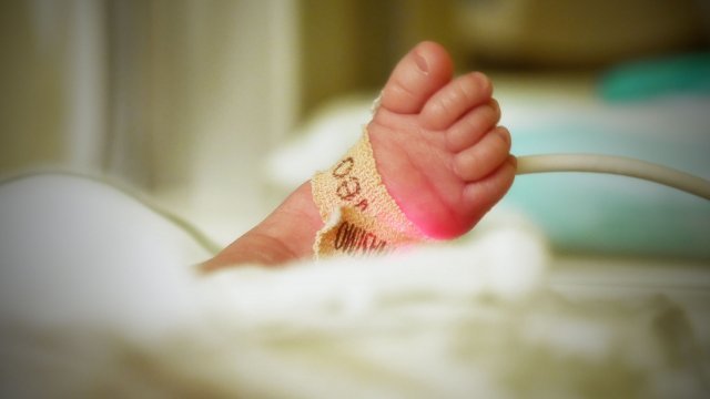 A newborn's foot