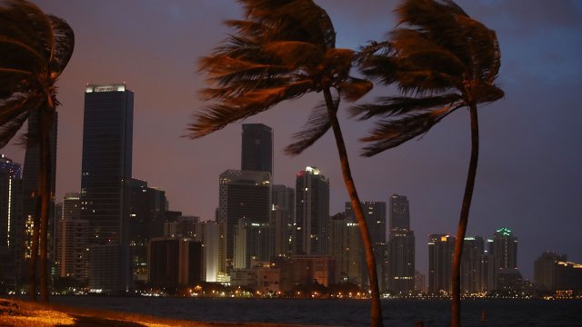 Winds from Hurricane Irma in Miami