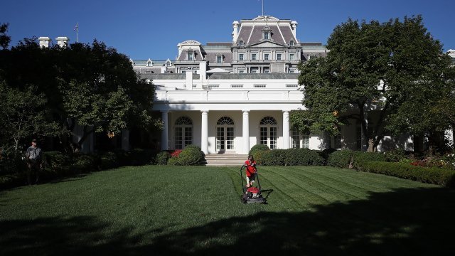 Frank mowing the White House lawn
