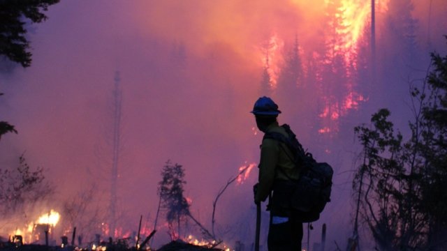 Fireman watches wildfire