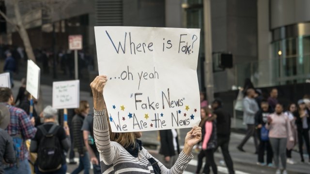 Protester holds "fake news" sign.