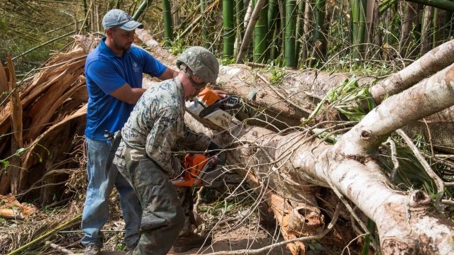 A U.S. soldier and a Puerto Rican resident work to clear a tree from a road.