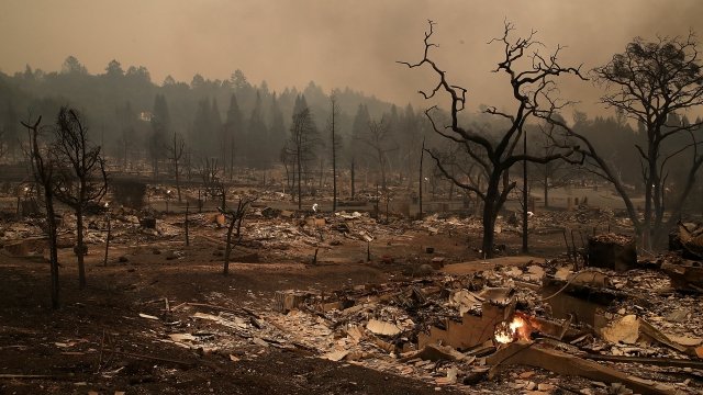 Scorched ground after a wildfire