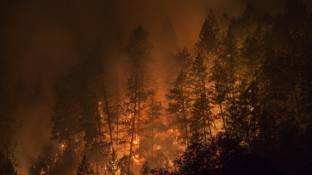 Wildfires burn in California