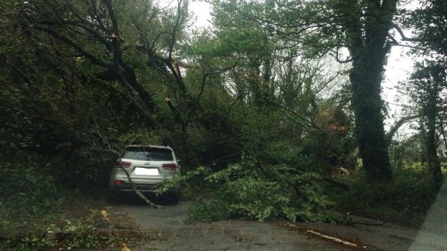 A tree on top of a car in Ireland during ex-hurricane Ophelia.