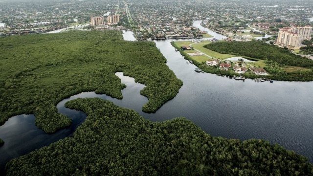 Overview of Cape Coral