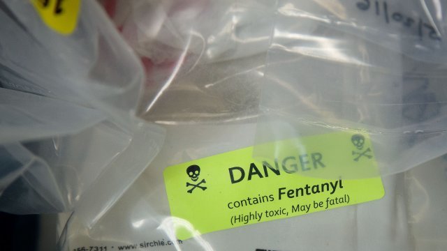 Fentanyl displayed at a drug bust press conference