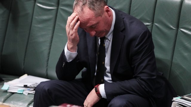 Deputy Prime Minister Barnaby Joyce faces dual citizenship questions.